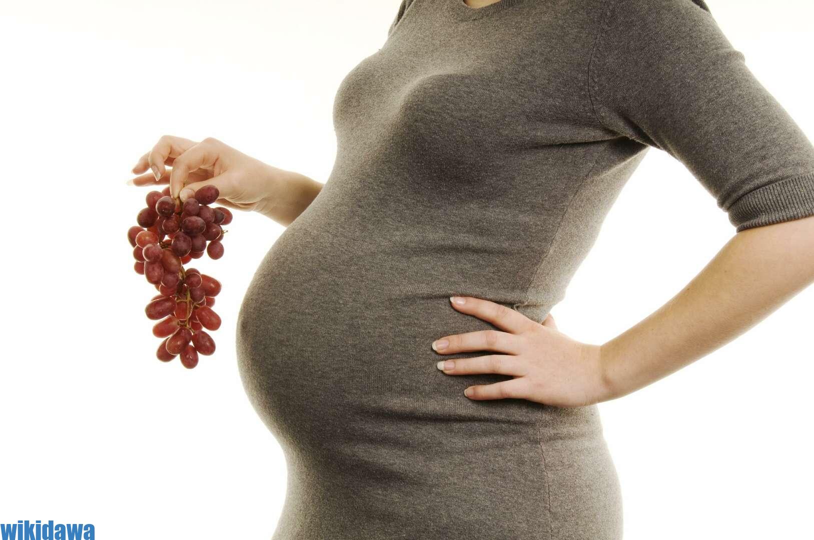 فوائد الزنك للحامل