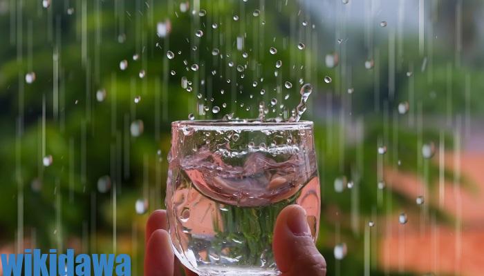 ماء المطر للعلاج